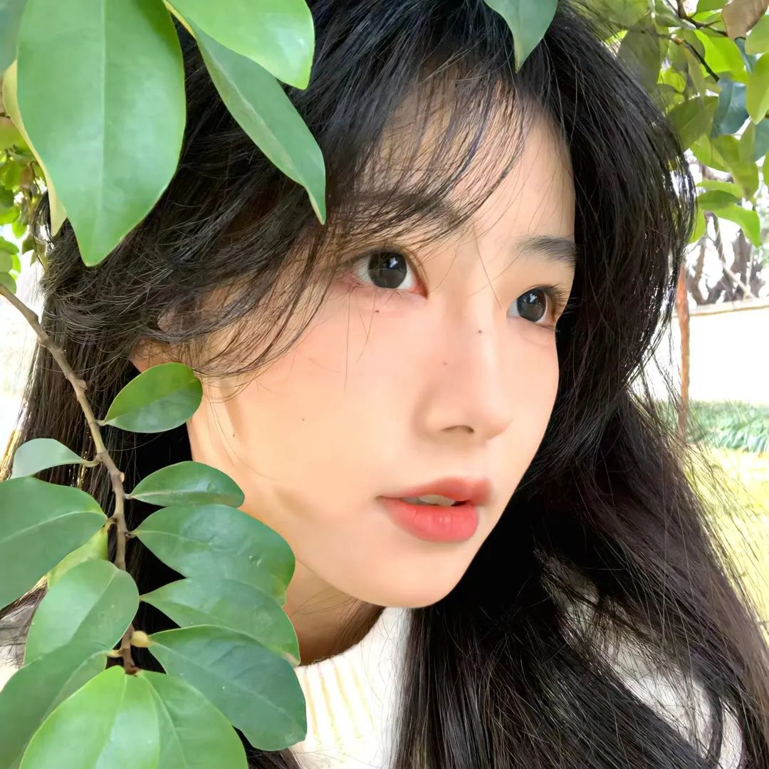 蝴蝶春梦